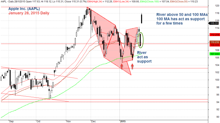 Apple Inc, January 28, 2015 Daily