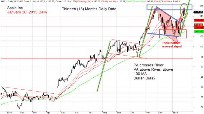 Apple Inc, AAPL January 30, 2015 Daily 