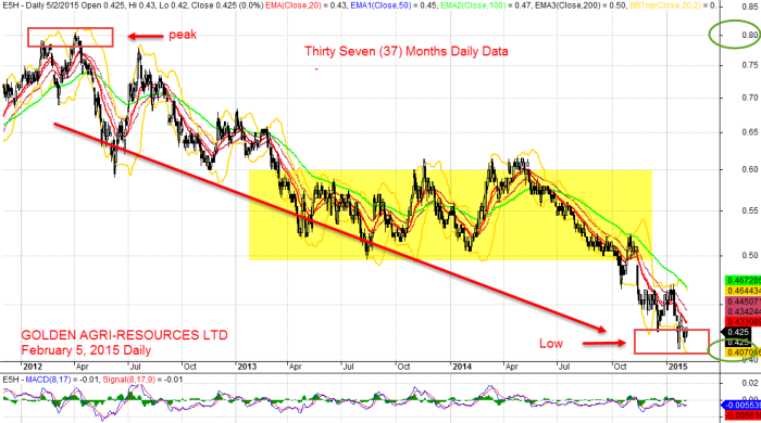 Golden Agri-Resources, E5H February 5, 2015 Daily