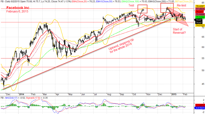 Facebook Inc, February 6, 2015 Daily