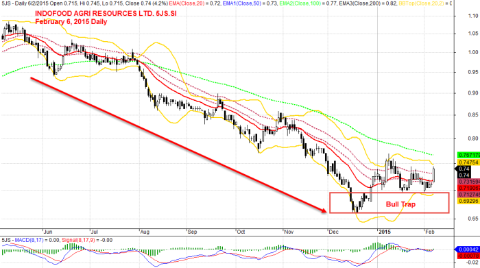 February 6, 2015 Indofood Agri, 5JS Daily